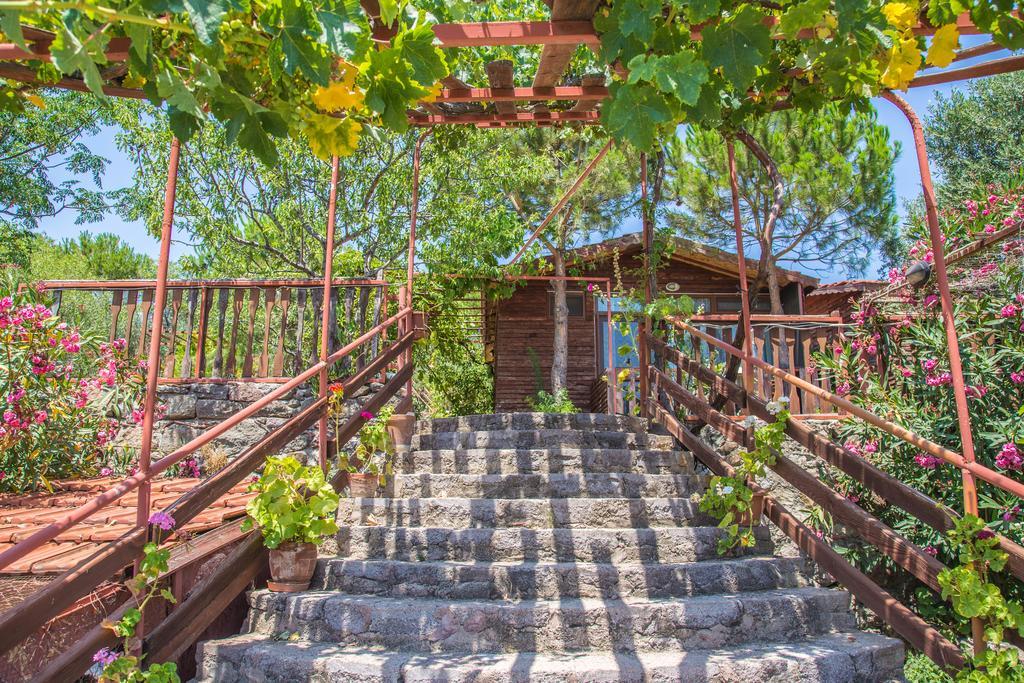 Assos Terrace Hotel Εξωτερικό φωτογραφία